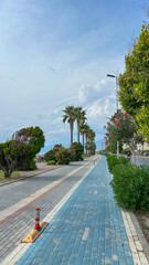 Naklejka premium Tropical Street With Blue Bike Path, Palm Trees And Flowering Shrubs In Alanya, Turkey, Daytime, Concept Of Sustainable Urban Design, Travel, Eco Transport, Summer Vacation, Tourism Infrastructure