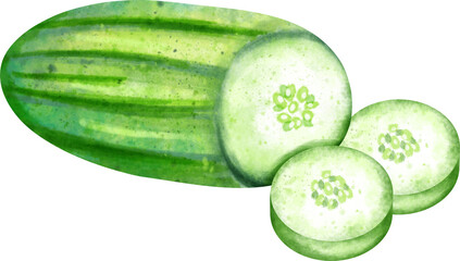 watercolor cucumber