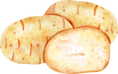 watercolor potato