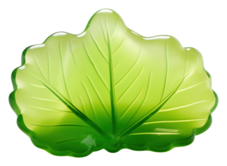 PNG Leaf plant accessories chandelier.