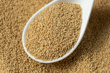 Uncooked amaranth seeds in a spoon