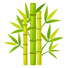 Naklejka premium bamboo vector illustration on white background