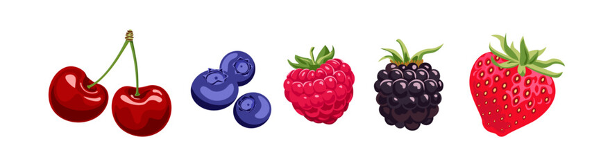 Berry set. Cherry, strawberry, raspberry, blueberry and blackberry  isolated on white background. Vector cartoon flat illustration. 