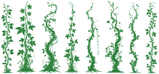 Green Jungle creeper silhouettes. Tropical forest lianas, rainforest hanging sprouts. Climbing liana vines flat set vector