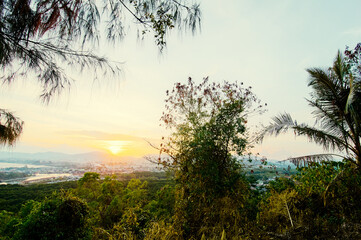 Scenic Sunrise Overlook with Trees and Distant Town View..
