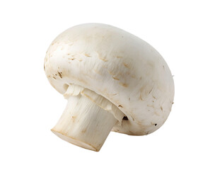 White mushroom with a smooth, rounded cap and short stem, isolated on a transparent white background, PNG cutout perfect for web and graphic design use