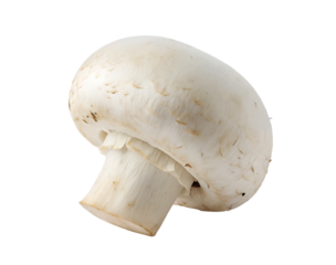 White mushroom with a smooth, rounded cap and short stem, isolated on a transparent white background, PNG cutout perfect for web and graphic design use