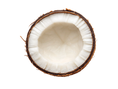 Realistic Coconut Slice PNG Cutout High-quality single coconut slice isolated on a white transparent background. Perfect mockup template for graphic design, branding, packaging, and artwork projects