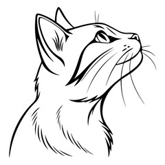 vector illustration of a cat