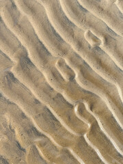Sea sand ribbed pattern, formed by back and forth waves in shallow area of the sea gulf. Beach in summer. Nature, traveling and vacations. Texture of natural material, abstract background