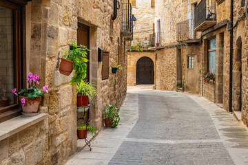 Obraz premium Picturesque alleys with potted plants and flowers in the medieval village of Cretas, Teruel, Spain.