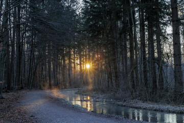 Path along the Brunnenbach stream through the Siebentischwald forest in Siebenbrunn at sunrise on a...