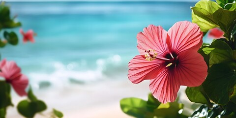 Tropical Pink Hibiscus Flower on Beach with Ocean Background