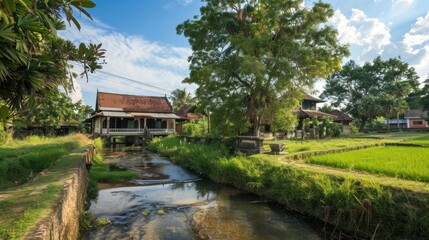 Fototapeta premium Traditional Cambodian countryside house by a stream and rice paddies.