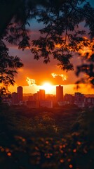 Dramatic orange sunset over urban skyline framed by silhouetted tree branches, with glowing sky and modern buildings creating striking contrast against darkening foreground.