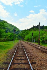 Fototapeta premium Landscape on the Watarase Keikoku Line in Gunma, Japan