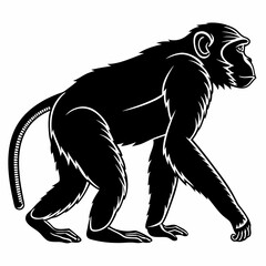 Fototapeta premium monkey black silhouette icon vector