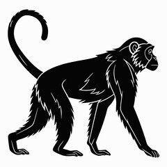 monkey black silhouette icon vector