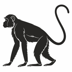 Obraz premium monkey black silhouette icon vector