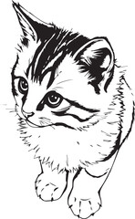 Cute kitten. Hand drawn vector illustration