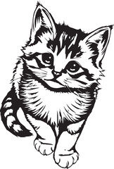 Cute kitten. Hand drawn vector illustration