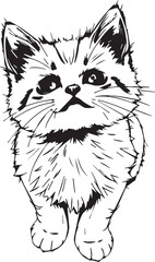 Cute kitten. Hand drawn vector illustration