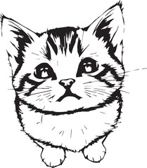 Cute kitten. Hand drawn vector illustration