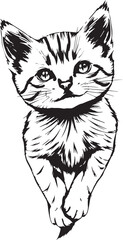Cute kitten. Hand drawn vector illustration