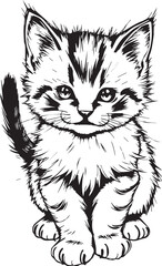Cute kitten. Hand drawn vector illustration