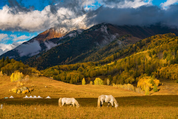 Fototapeta premium Forest and mountain landscape photography with scenic beauty