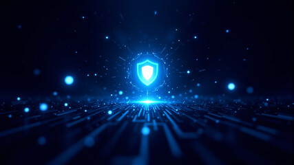 Digital Security and Protection Overview