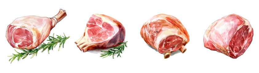 Watercolor pieces of raw meat, fillet, ribs and leg. Set of meat cuts. Parts of livestock meat. Animal meat parts, beef, pork, lamb. Vector illustration.