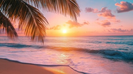 Watching Sunrise on Beach with Palm Tree Silhouettes and Gentle Waves