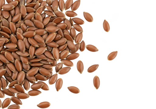 Close up shot of a pile of flax seeds with some scattered on a png transparent background surface area