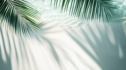 Palm Leaf Shadows Reflecting in Water Create a Minimalist Tranquil Scene