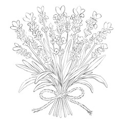 Detailed line art of a tied lavender bouquet with delicate stems and blossoms, ideal for botanical, rustic, or floral-themed illustrations.