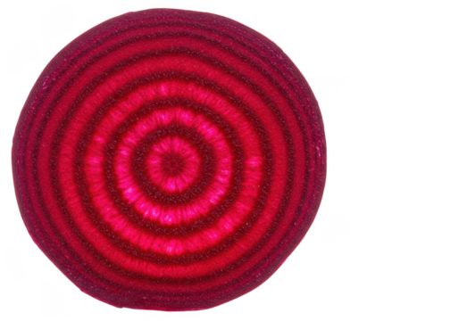A close up view of a sliced beet with concentric rings against a png transparent background space around it