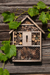 An insect hotel, a 