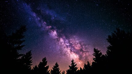 Viewing Milky Way Galaxy Over Dark Forest Trees at Night