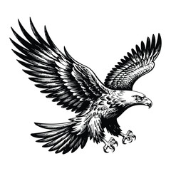 Obraz premium Soaring Eagle Sketch Silhouette, Vector, Icon, Logo, White Background.