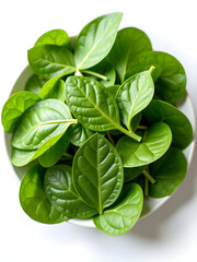 Fototapeta premium Mixed Fresh Salad Leaves, Including Lettuce, Spinach, And Other Leafy Greens, Are A Healthy Addition To Many Meals And Snacks D