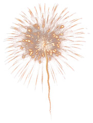 Obraz premium PNG Firework fireworks spectacular celebration.