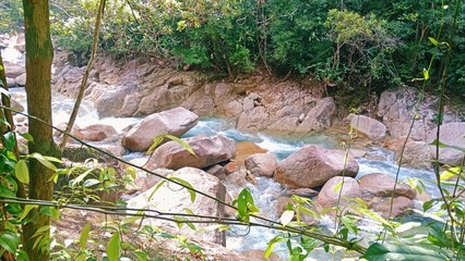 Obraz premium A serene river flows through a lush jungle, surrounded by rocks and dense trees, showcasing nature's vibrant beauty. 