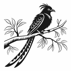 resplendent quetzal black silhouette vector