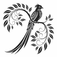 resplendent quetzal black silhouette vector