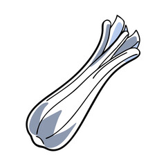 Celery stalk in flat line illustration