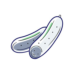 Cucumber vegetable in sliced flat style