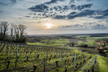 coucher de soleil sur une vigne au mois de mars dans le Jura, France © Jerome