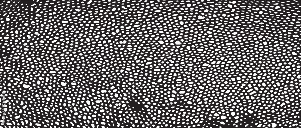 Poster monochrome texture composed of irregular graphic elements. distressed uneven grunge background. abst
