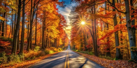 Autumnal Road Through Vibrant Forest Canopy Bathed in Golden Sunlight, Creating a Breathtaking Scenic Drive